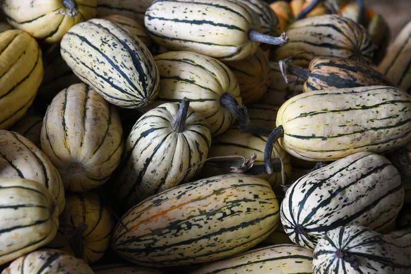 Sustainable Agriculture
